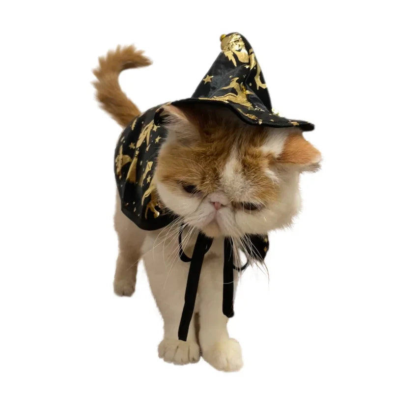 New Halloween Witch Cloak, Cat Wizard Cloak, Pet Cloak, Festival Dress Up, Transformation Dress Up