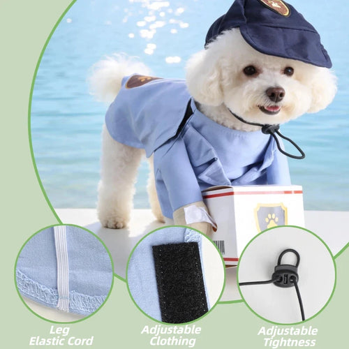 All-Weather Cute Transformation Outfit for Dogs - Mailman Style - Super Adorable