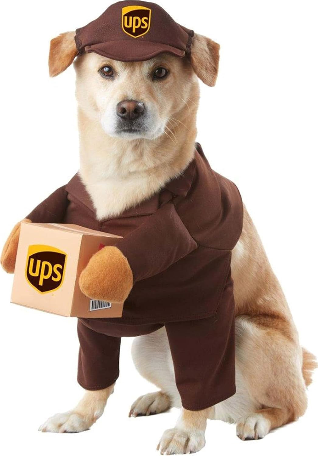 UPS Pal, Dog Costume, Medium