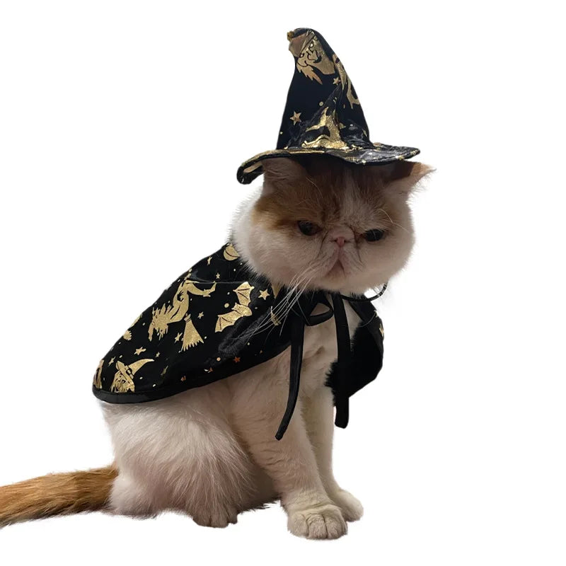 New Halloween Witch Cloak, Cat Wizard Cloak, Pet Cloak, Festival Dress Up, Transformation Dress Up