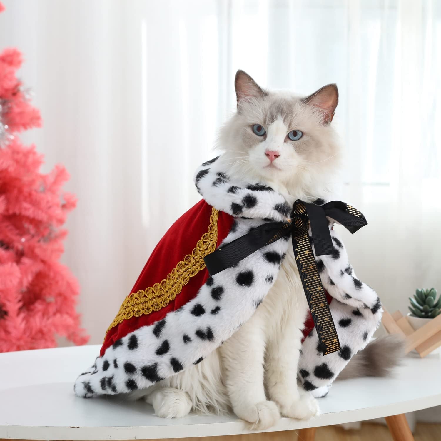 Royal Velvet Pet Cloak with Fur Trim for Cats & Dogs, Red, S | King Queen Prince and Princess Roylo Family Cosplay, Halloween