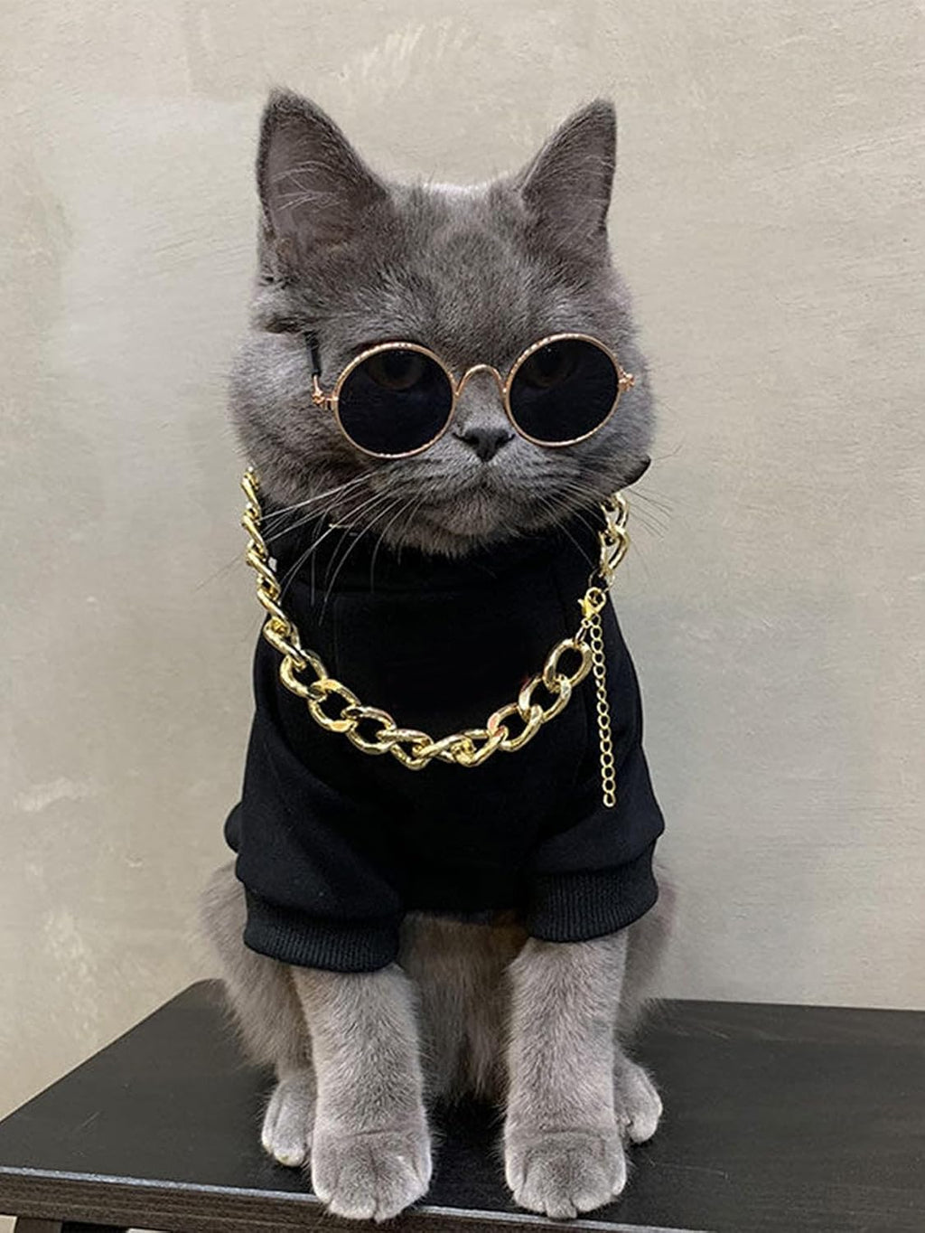 3Pcs Dog Hoodie Cat Apparel Dog Custume Set with Necklace and Sunglasses Pet Clothes for Puppy Small Medium Dogs Cats Multicolor S
