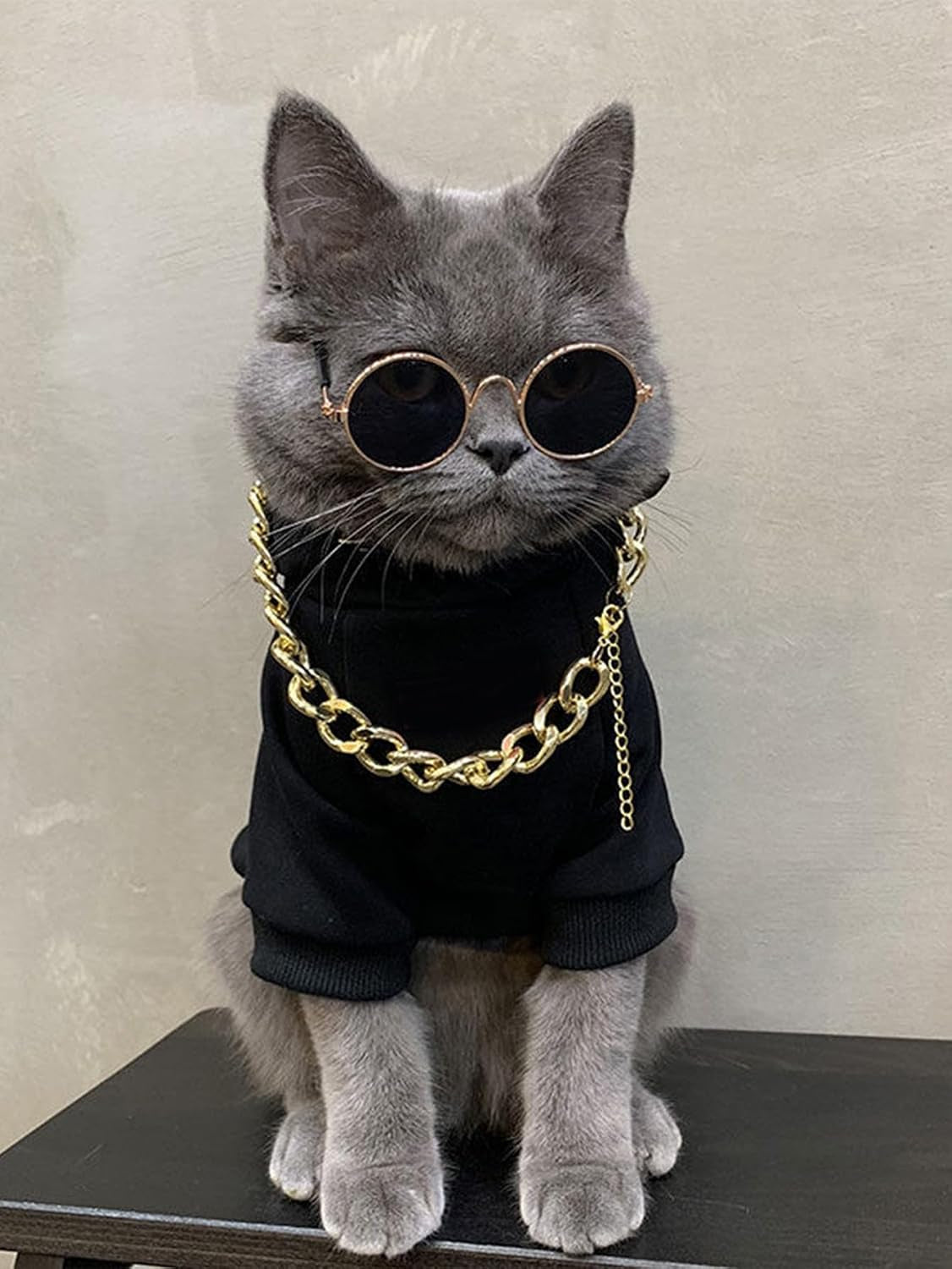 3Pcs Dog Hoodie Cat Apparel Dog Custume Set with Necklace and Sunglasses Pet Clothes for Puppy Small Medium Dogs Cats Multicolor S