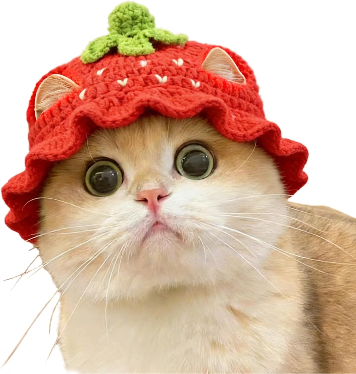 Strawberry Cat Hat, Cotton & Soft Cute Knitted Hats for Cats Birthday Party Christmas Puppy Hat for Small Pets (Red, M)