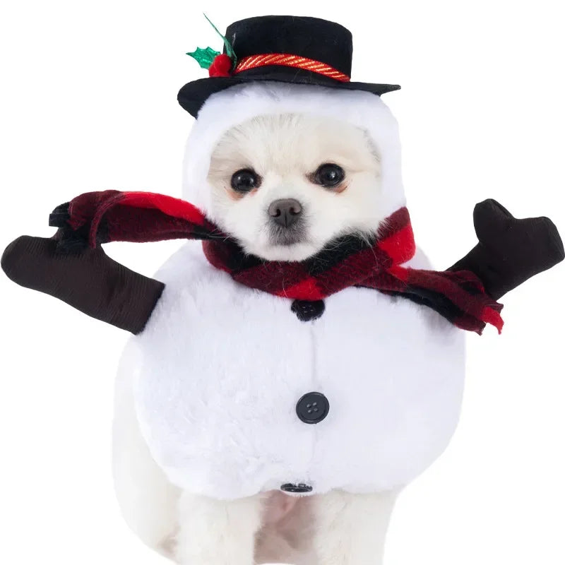 Funny Halloween Dog Costume for Small Medium Dogs Cats Adjustable Puppy Cosplay Party French Bulldog Chihuahua Pet Clothing