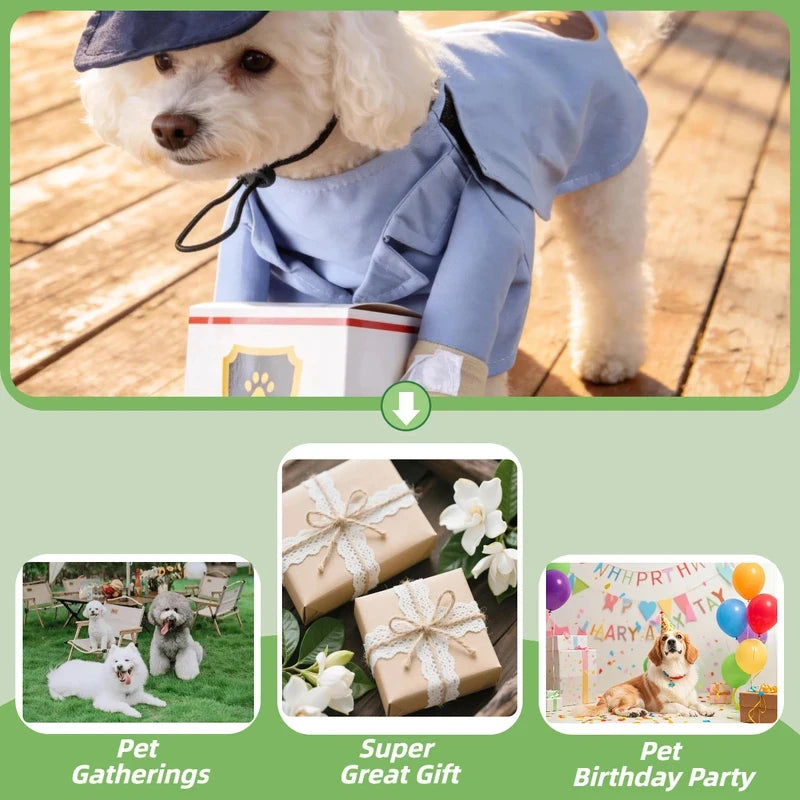 All-Weather Cute Transformation Outfit for Dogs - Mailman Style - Super Adorable