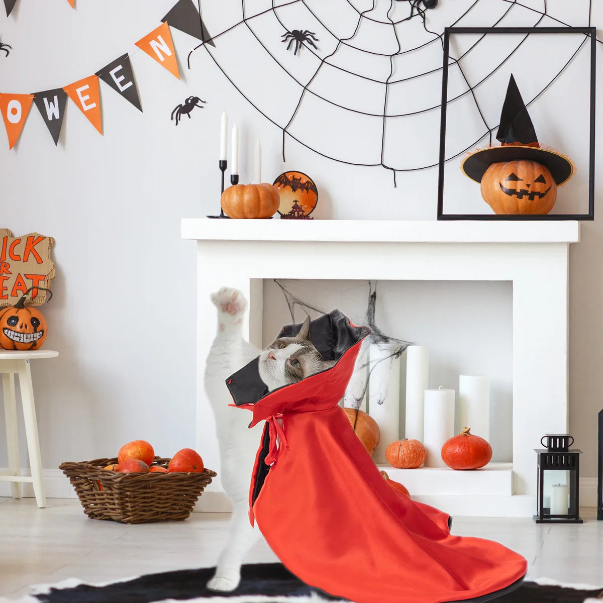 Pet Halloween Costumes Witch Vampire Robe Magic Atmosphere Cat Dog Funny Pajamas Pet Supplies Pet Clothes Pet Accessories