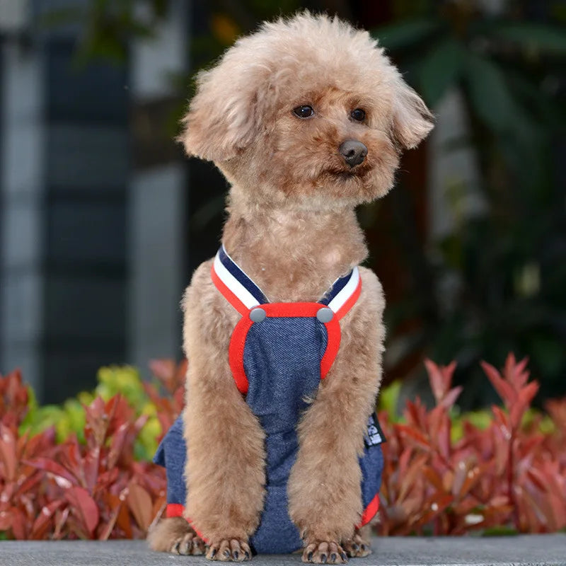 Cat Dog Female Panties Denim Strap Pet Shorts for Small Dogs Cats Kitten Puppy Underclothe Anti-Harassment Safety Panties
