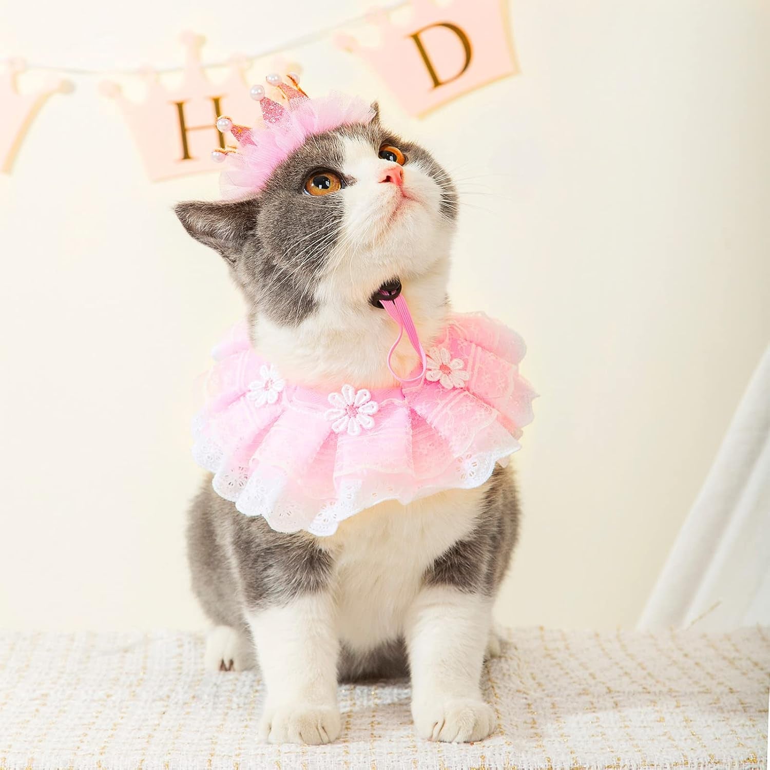 Cat Princess Costumes Cat Crown Hat & Lace Bandana Scarf Set, Puppy Party Hat for Small Dogs & Cats, Lace Outfit for Cats and Small Dogs Birthday Party (Pink)