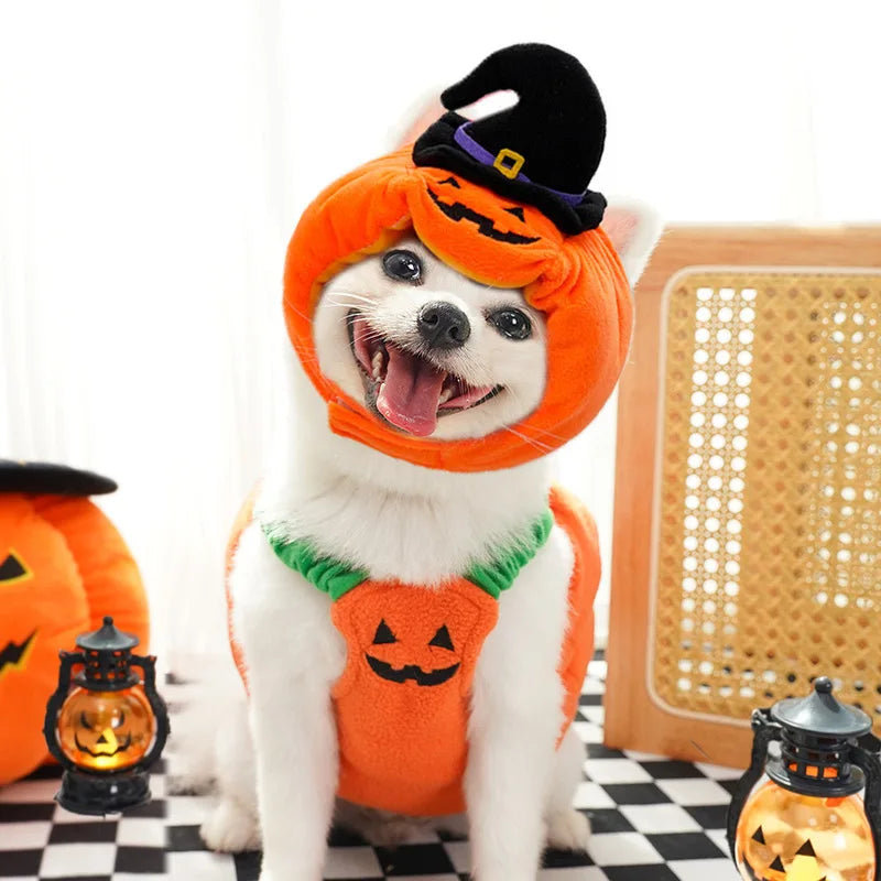 Dogs Halloween Christmas Party Transformation Costumes Funny Cats Cats Two Legged Pets Clothes Supplies Cartoon Cute Kawaii Gift