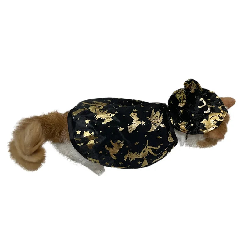 New Halloween Witch Cloak, Cat Wizard Cloak, Pet Cloak, Festival Dress Up, Transformation Dress Up