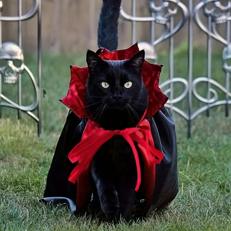 1/3Pcs Halloween Cat Costume Cape with Collar Vampire Pet Apparel All-Season Wear Festive Party Accessory for Cats & Small Dogs