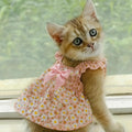 1Pc Cat Skirt Pet Dress Dog Summer Dress Romantic Style with Pink Floral Print, Small Dog Clothes Pet Clothing Chihuahua Skirt