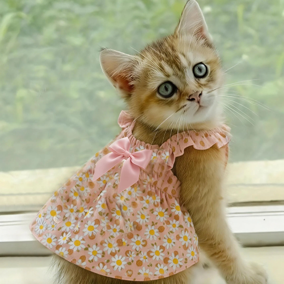 1Pc Cat Skirt Pet Dress Dog Summer Dress Romantic Style with Pink Floral Print, Small Dog Clothes Pet Clothing Chihuahua Skirt