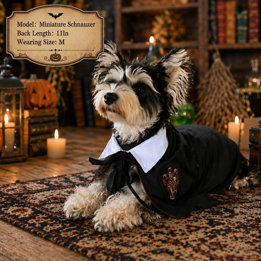 Cat Halloween Costumes - Adjustable Dog Cat Wizard Costume,Pet Hooded Cape Glasses Necktie Set,Funny Puppy Small Dog Halloween Costumes Boy Girl, Black Red Pet Magician Cosplay Outfits