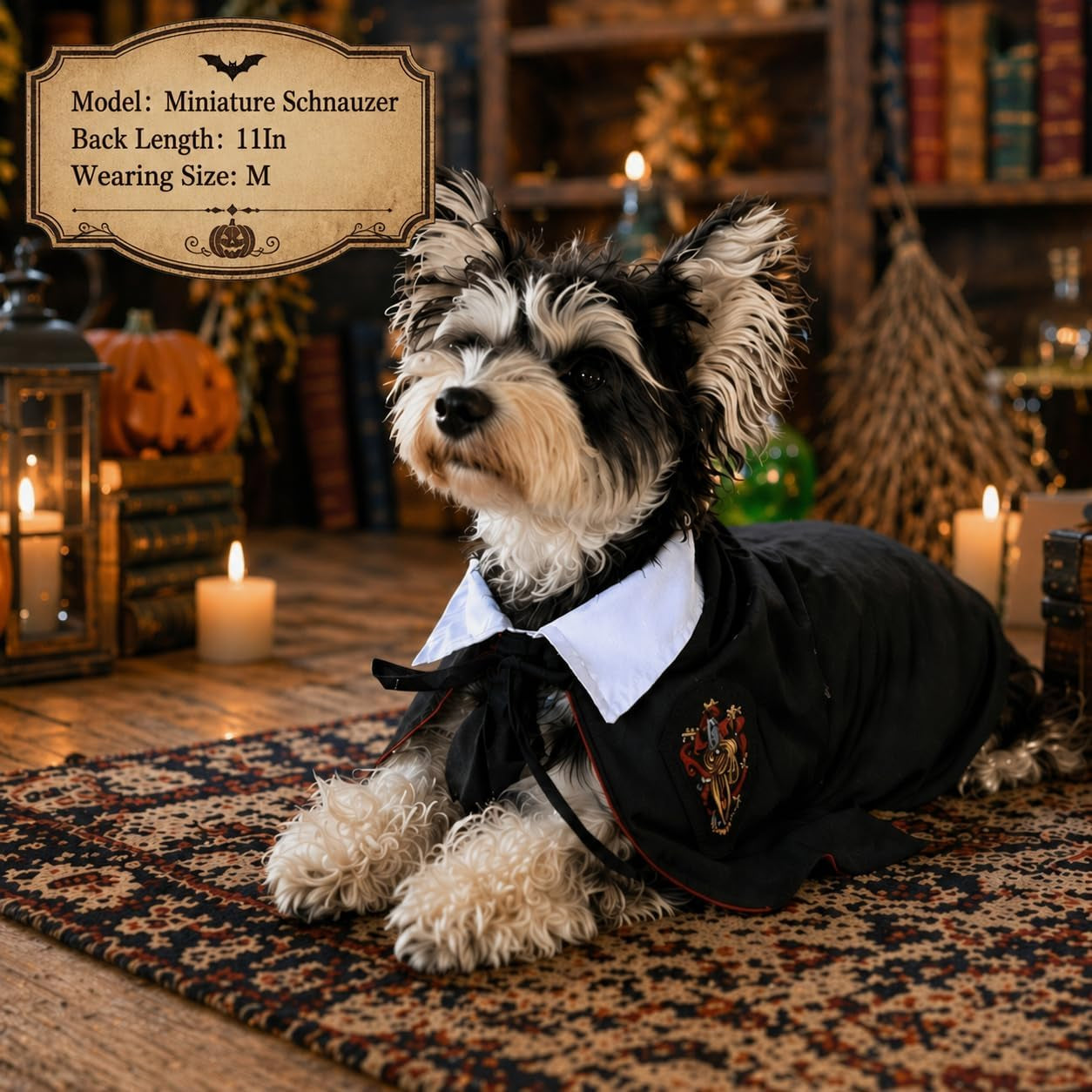 Cat Halloween Costumes - Adjustable Dog Cat Wizard Costume,Pet Hooded Cape Glasses Necktie Set,Funny Puppy Small Dog Halloween Costumes Boy Girl, Black Red Pet Magician Cosplay Outfits