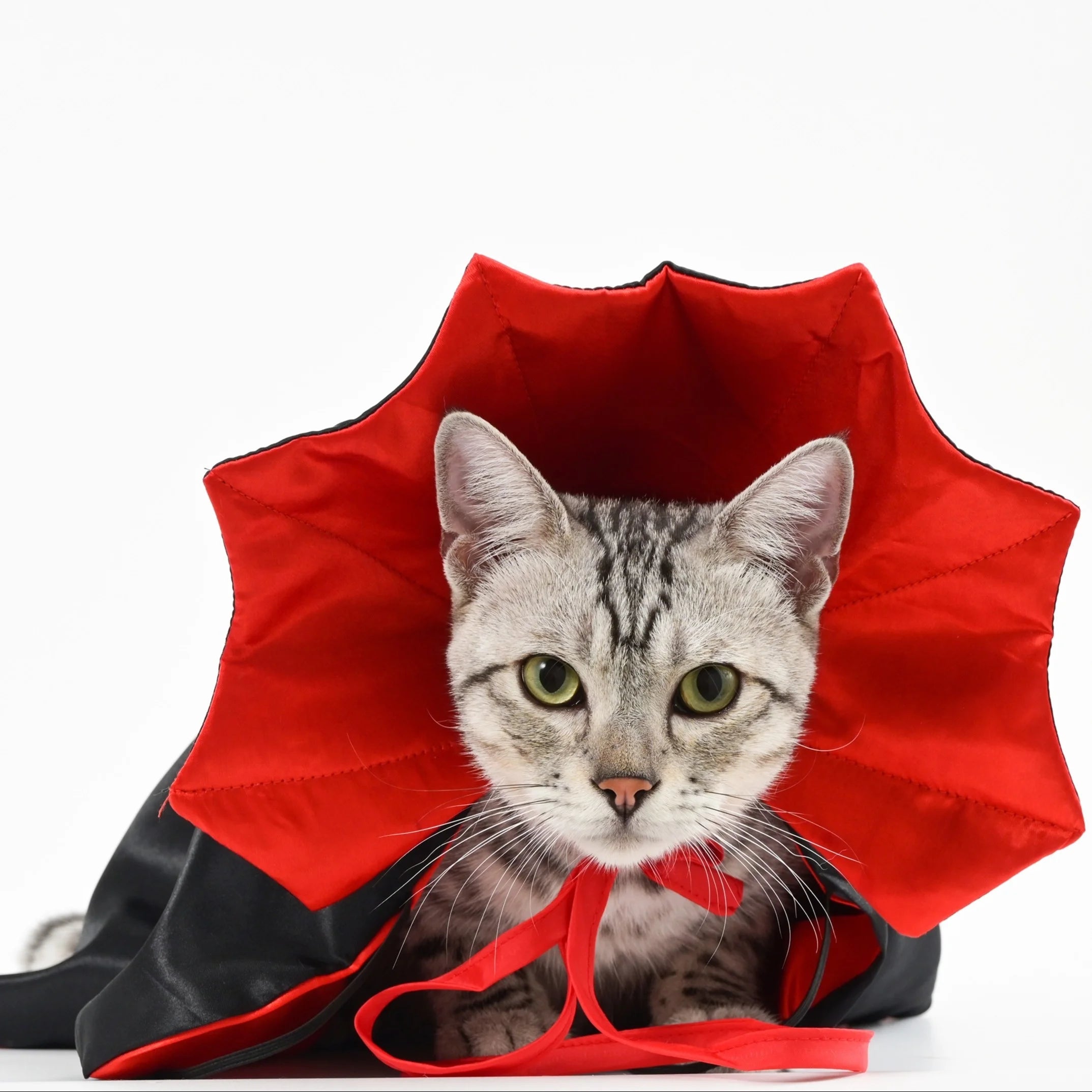 1/3Pcs Halloween Cat Costume Cape with Collar Vampire Pet Apparel All-Season Wear Festive Party Accessory for Cats & Small Dogs