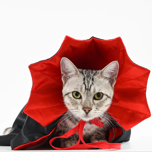 1/3Pcs Halloween Cat Costume Cape with Collar Vampire Pet Apparel All-Season Wear Festive Party Accessory for Cats & Small Dogs