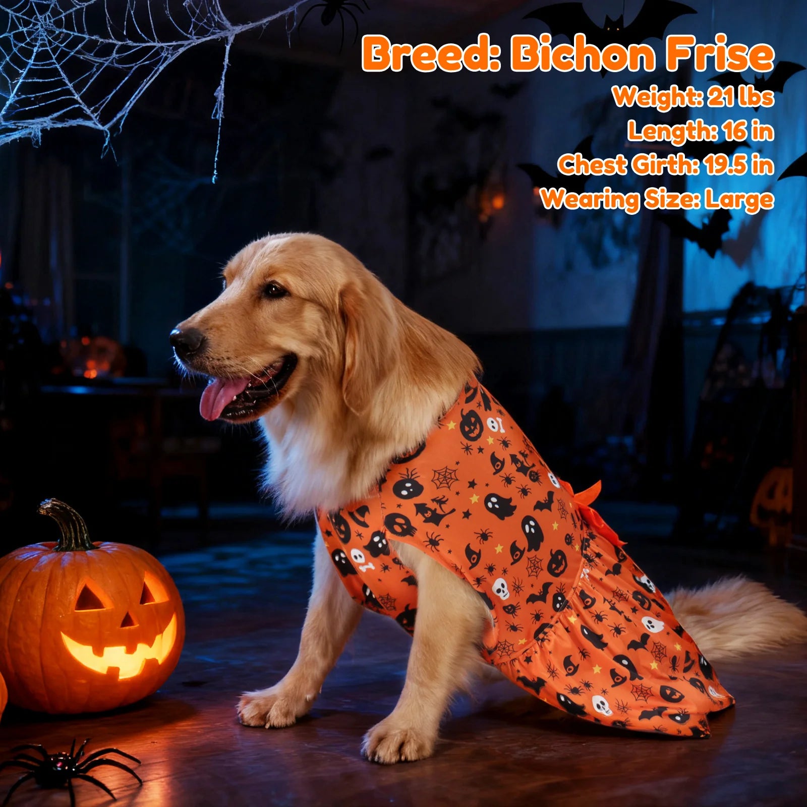 Middle Large Dog Cat Pet Halloween Dog Cat Pet Dress for Large Dogs Cute Pet Costume for Cats and Dogs Festive Outfit Dress