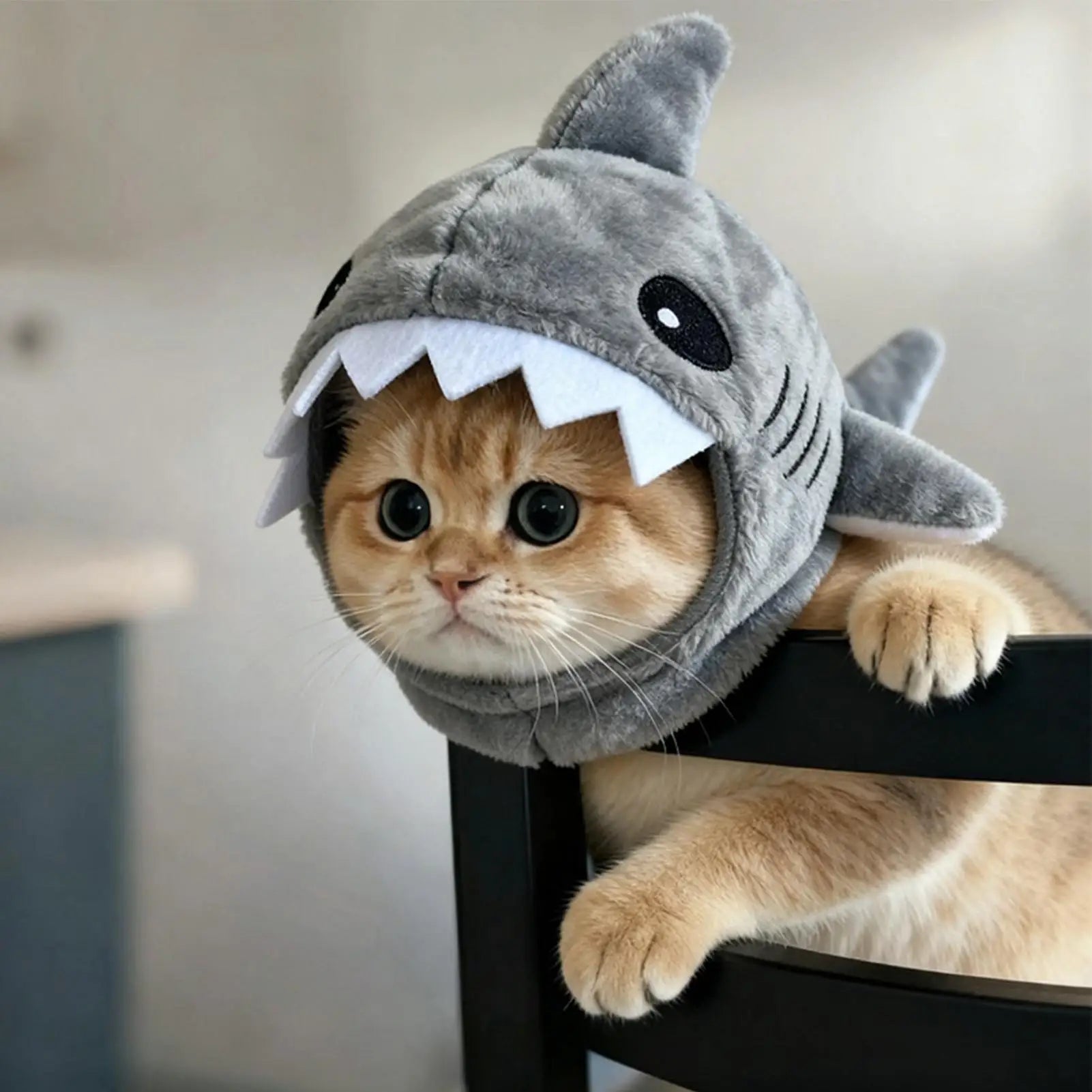 Shark Plush Pet Hat Costume Cute Animal Headwear for Kittens Dogs Adjustable Festival Party Cosplay Dress up Accessories